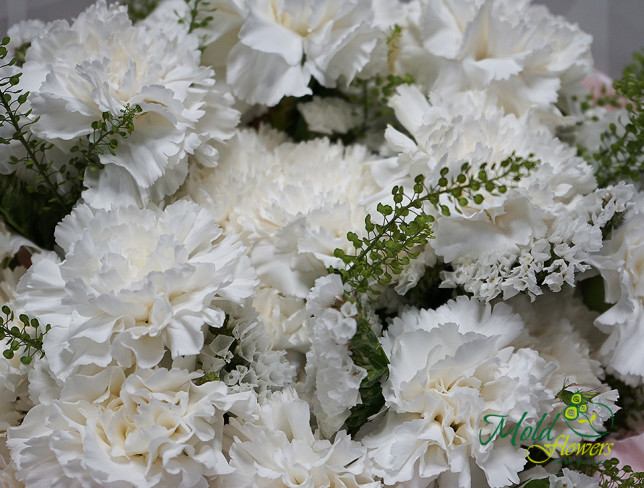 Bouquet of white carnations photo